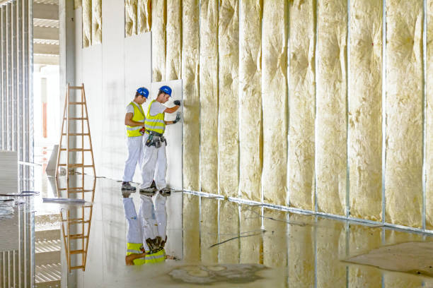 Best Insulation Maintenance and Repair in Mcpherson, KS